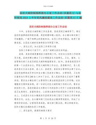 县狂犬病防制指挥部办公室工作总结与县环保局2024上半年党风廉政建设工作总结(多篇范文)汇编
