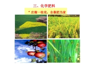 第3节第4课时化肥