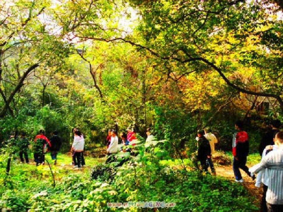 苏教版二年级语文上册《秋游》PPT课件_2_第1页