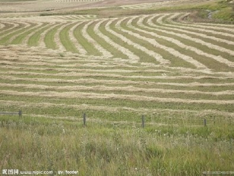 苏教版二年级语文上册《秋游》PPT课件_2_第3页