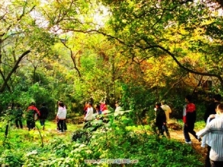 苏教版二年级语文上册《秋游》PPT课件_2