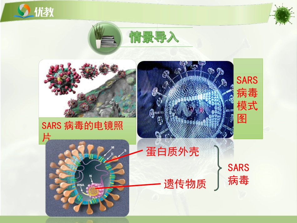 高中一年级生物生物圈到细胞第一课时课件_第3页