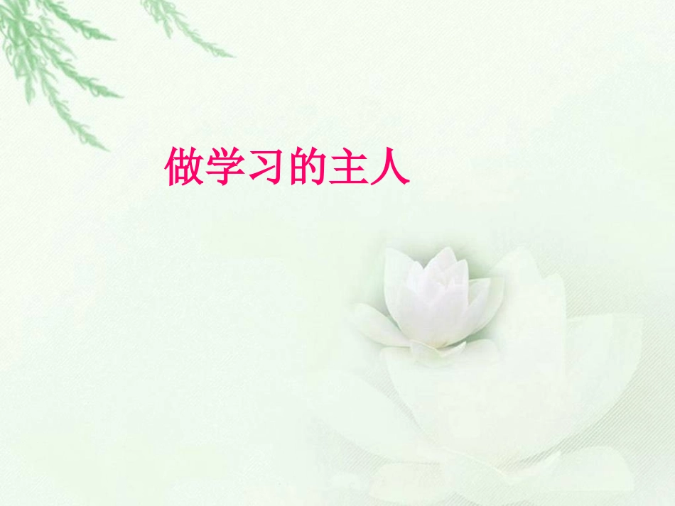 罗斯福集邮修改两课时_第1页