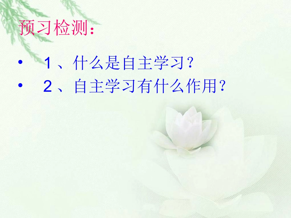 罗斯福集邮修改两课时_第3页