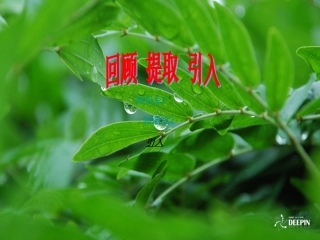 三角形的分类课件