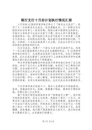 银行支行十月份计划执行情况汇报 