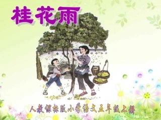 新课标人教版第九册语文《桂花雨》课件