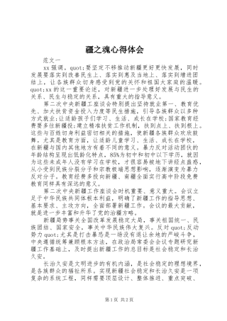 疆之魂心得体会
