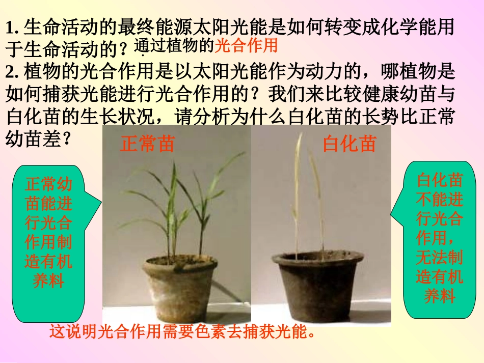 捕获光的色素和结构2_第2页