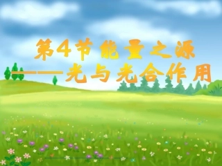 捕获光的色素和结构2