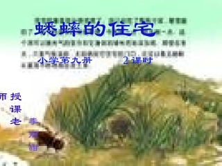 蟋蟀的住宅课件