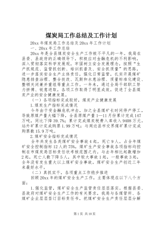煤炭局工作总结及工作计划 