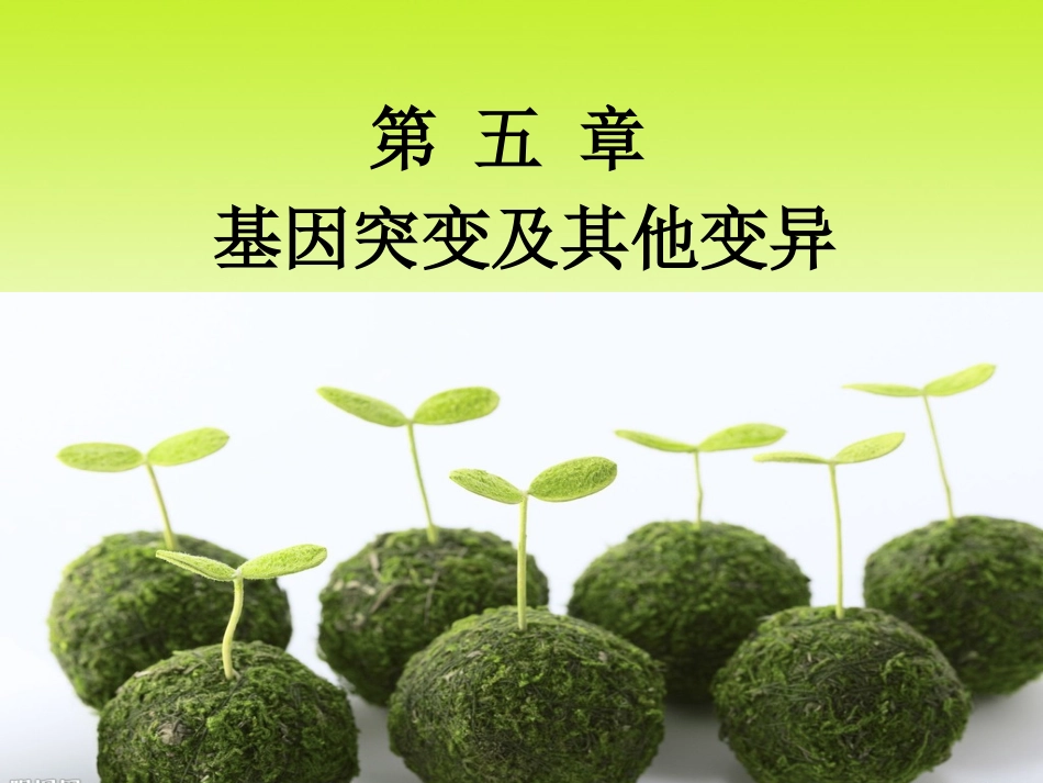 基因突变及其他变异 (2)_第1页