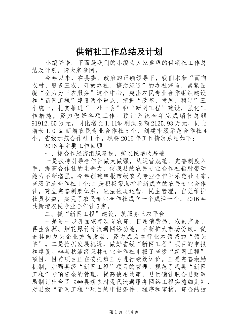 供销社工作总结及计划 _第1页