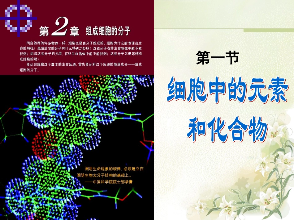 第一节细胞中的元素和化合物_第1页