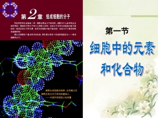 第一节细胞中的元素和化合物