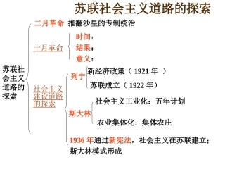 九年级世界历史下册复习题