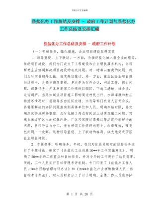 县盐化办工作总结及安排