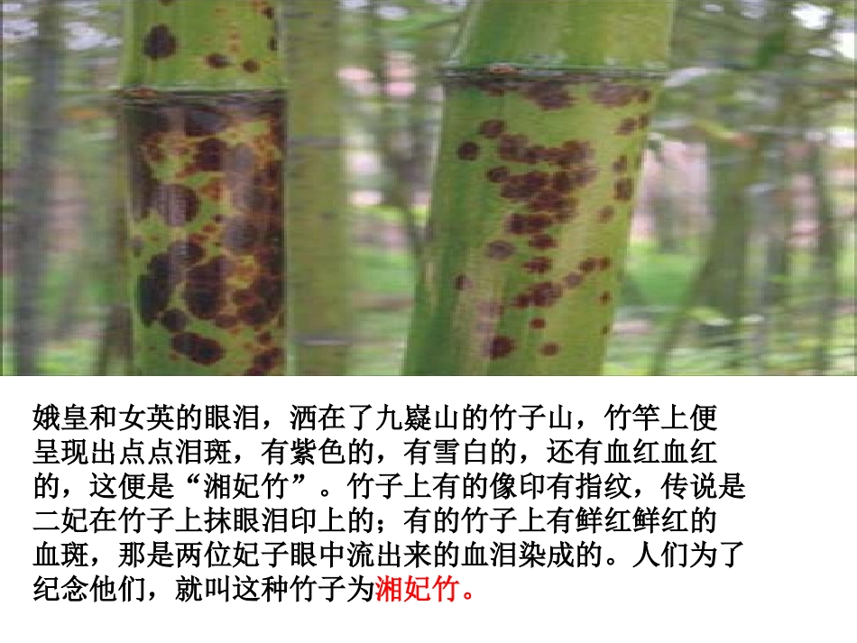 a《湘夫人》优秀课件_第3页