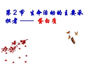 第二节生命活动的主要承担者－蛋白质