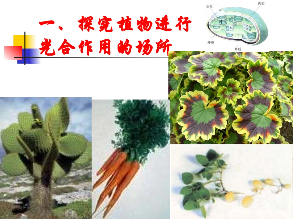 有机物从哪里来（第二课时）_第2页