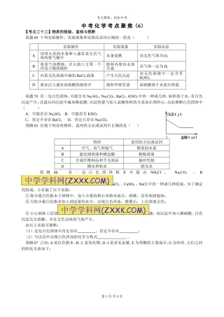 中考化学考点聚焦6