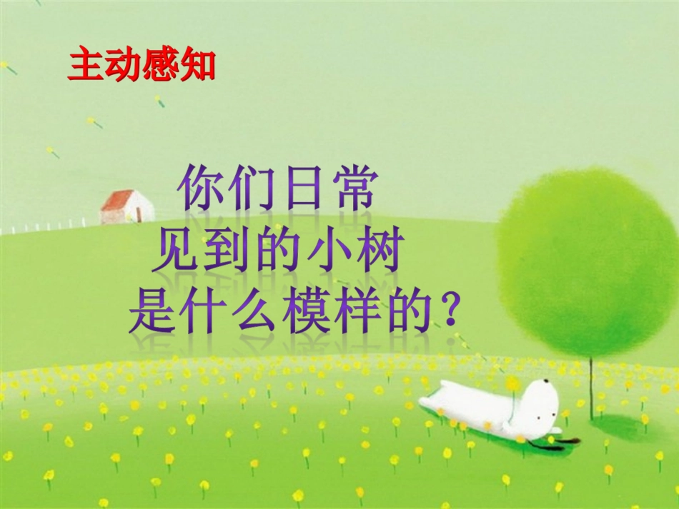 长眼睛的小树 _第2页