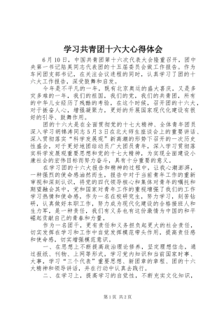学习共青团十六大心得体会