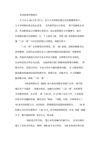 农信担保考察报告版