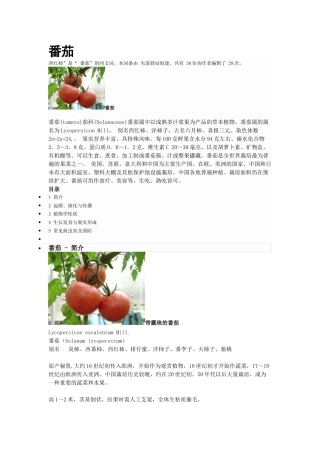 健康必读-番茄 含有类阿司匹林 防治心血管病 具有抗癌功效