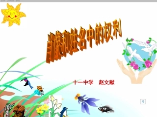 （电教馆课件）肖像和姓名中的权利