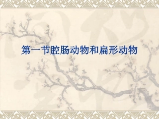 第一节腔肠动物扁形动物MicrosoftPowerPoint演示文稿