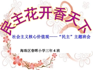 秦辉《民主花开香天下》PPT