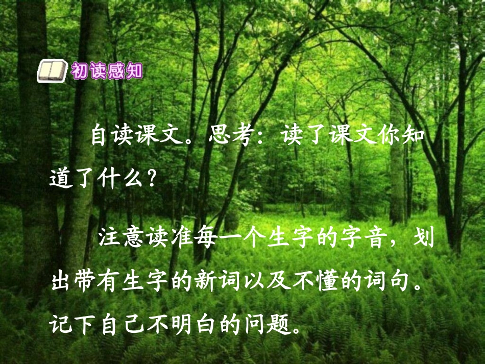 《回声》课件5_第2页