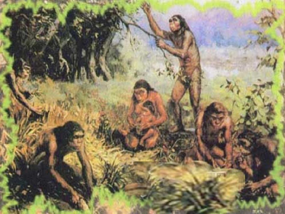 五年级上册_综合性学习有趣的汉字_3》PPT课件_第3页