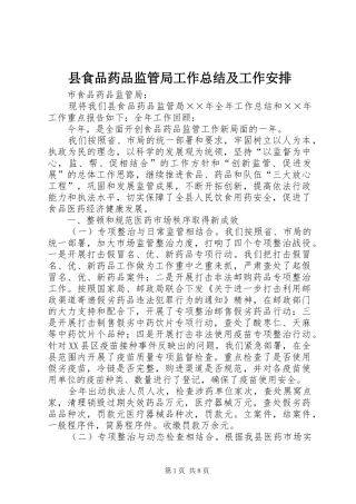 县食品药品监管局工作总结及工作安排 