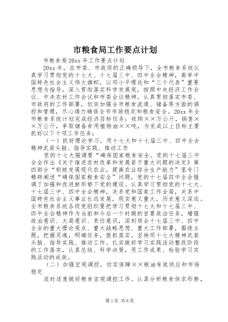 市粮食局工作要点计划 