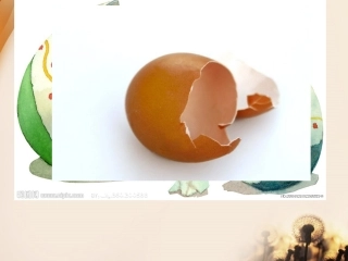中班语言：小蛋壳
