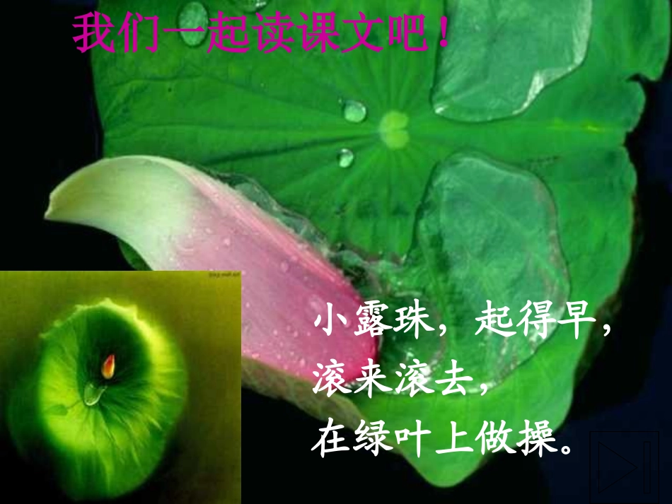 北师大版一年级上册《早操》课件_第3页