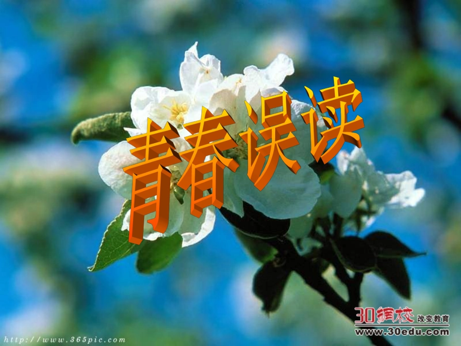 人教版七年级上第四课第二框感悟青春_第2页