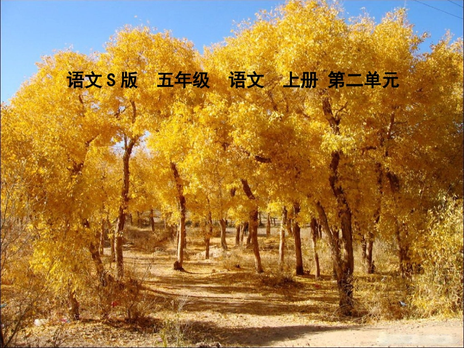 (语文S版)五年级语文上册课件_西风胡杨_第1页