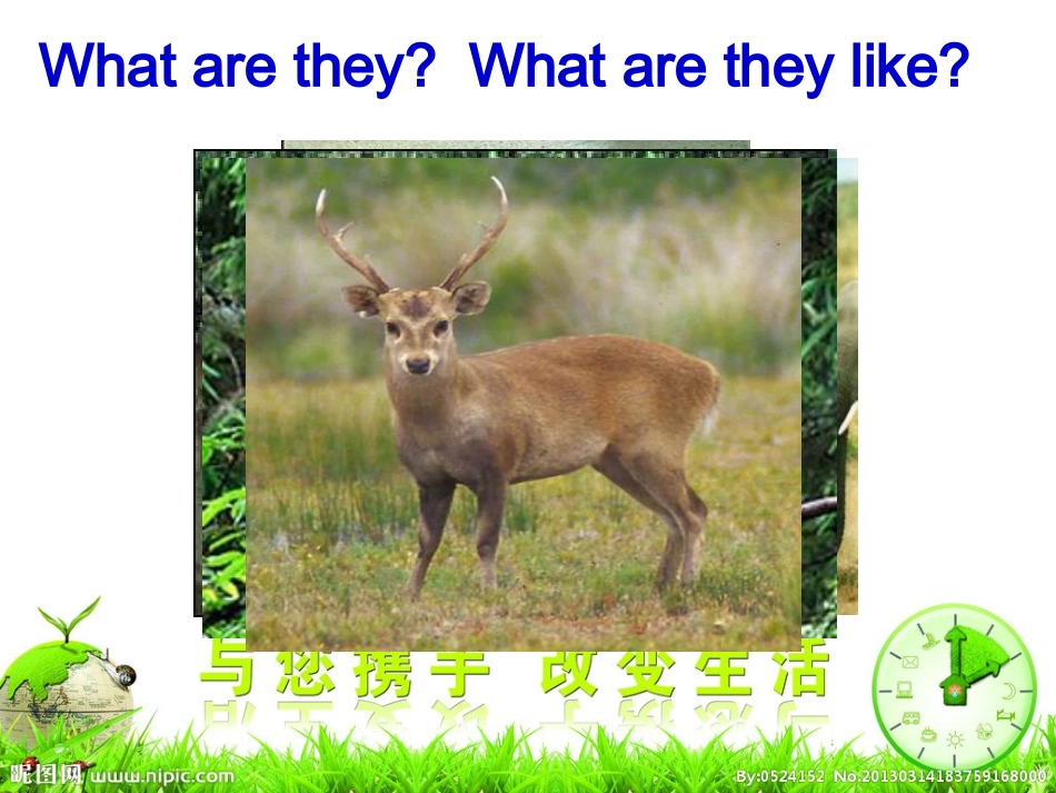 九年级新教材Unit13SectionB_第3页