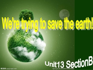 九年级新教材Unit13SectionB