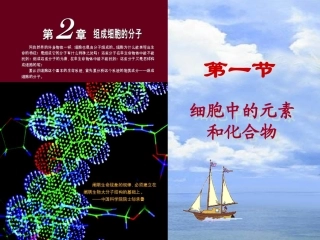 高一生物第二章第一节细胞中的元素和化合物