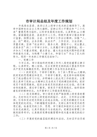 市审计局总结及年度工作规划 