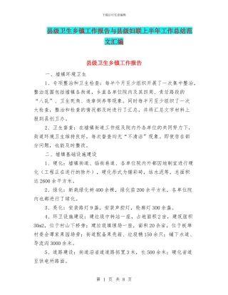 县级卫生乡镇工作报告与县级妇联上半年工作总结范文汇编