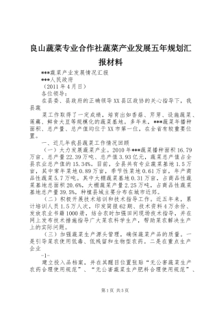 良山蔬菜专业合作社蔬菜产业发展五年规划汇报材料 