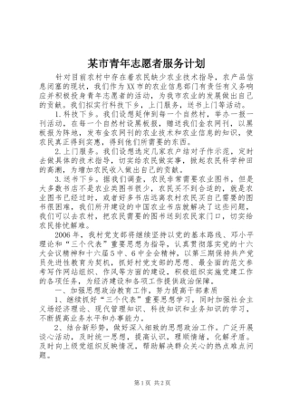 某市青年志愿者服务计划 