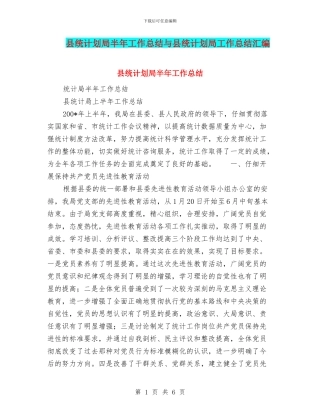 县统计划局半年工作总结与县统计划局工作总结汇编