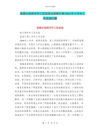 县统计划局半年工作总结与县统计局2024年上半年工作总结汇编